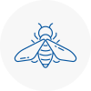 Bee Nest Removal Raunds