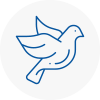 Bird Prevention Raunds