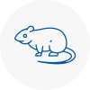 Rat Control Raunds